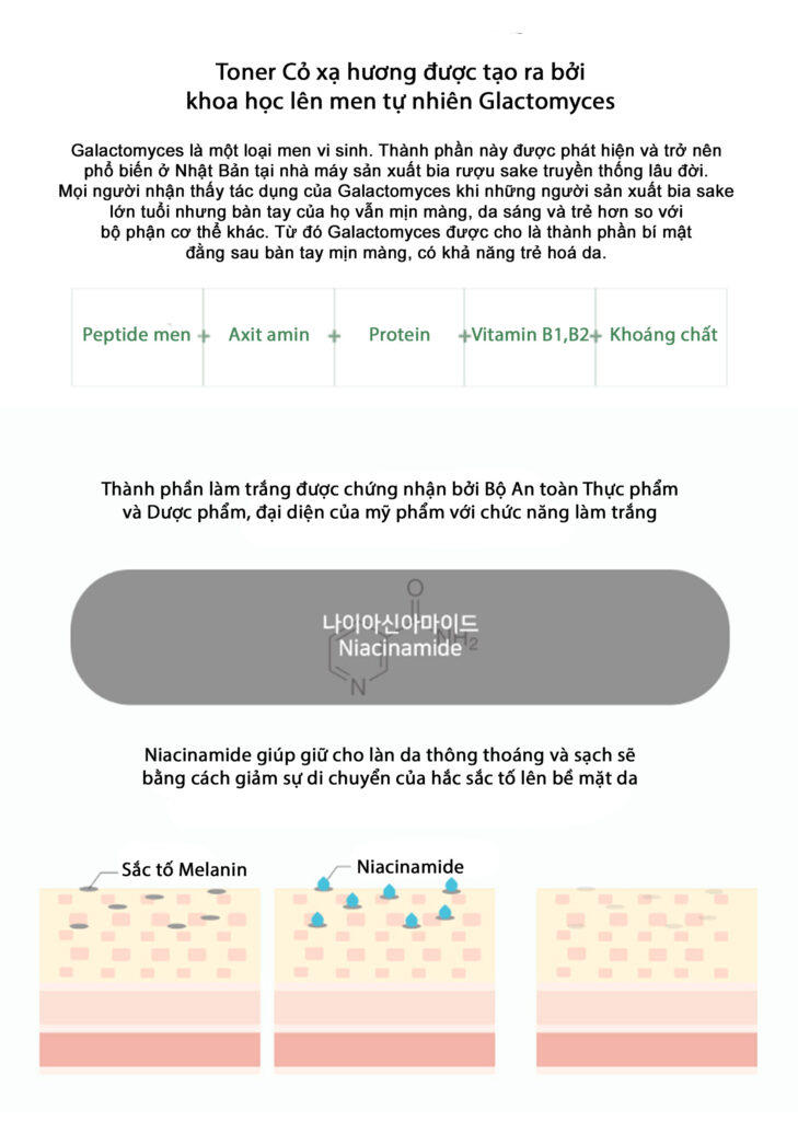 TAK GROUP